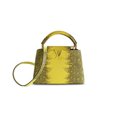 LOUIS VUITTON CAPUCINES BB M98177 (27*18*9cm)